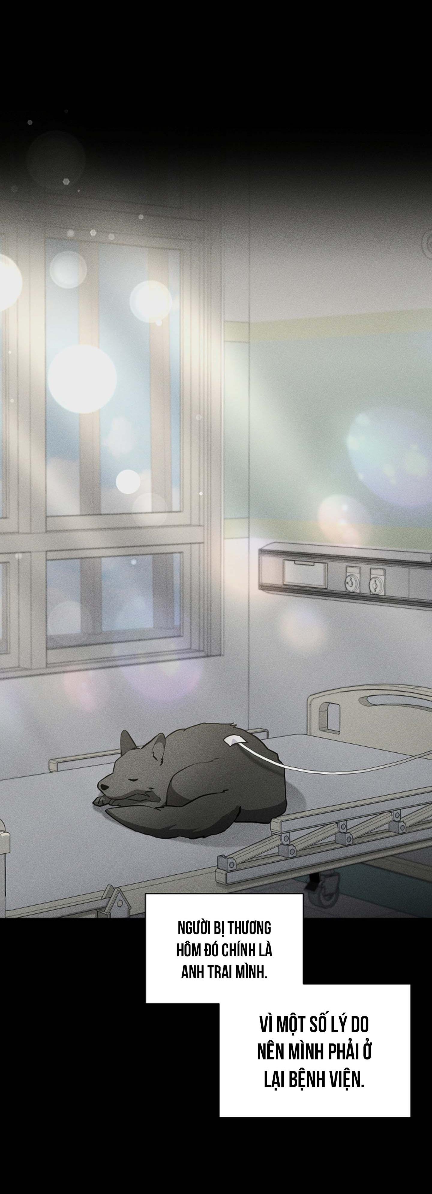 Đọc truyện ĐỪNG ĐỘNG VÀO CÚN CON! - Chapter 38